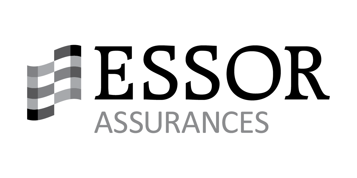 Logo de Essor Assurances avec un drapeau et le texte "Assurances".