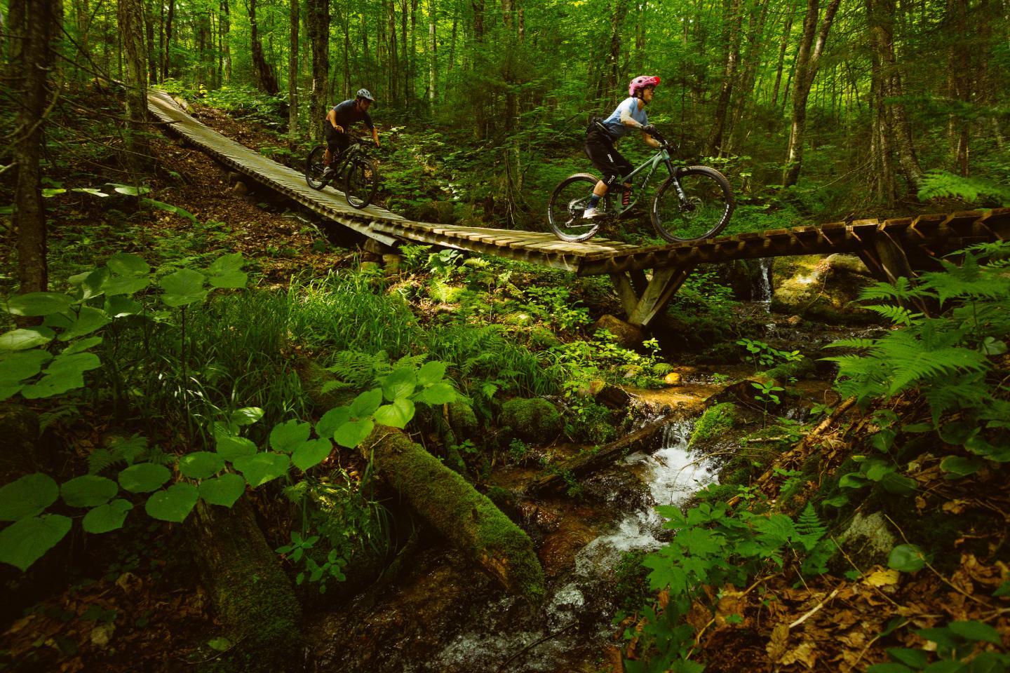 Vélo de montagne à Mont-Sainte-Anne