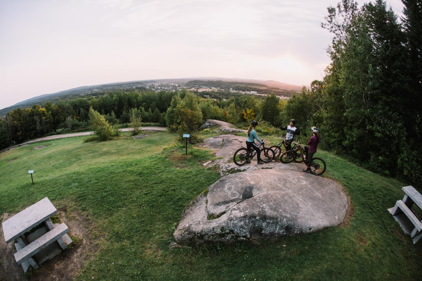 Vélo de montagne
