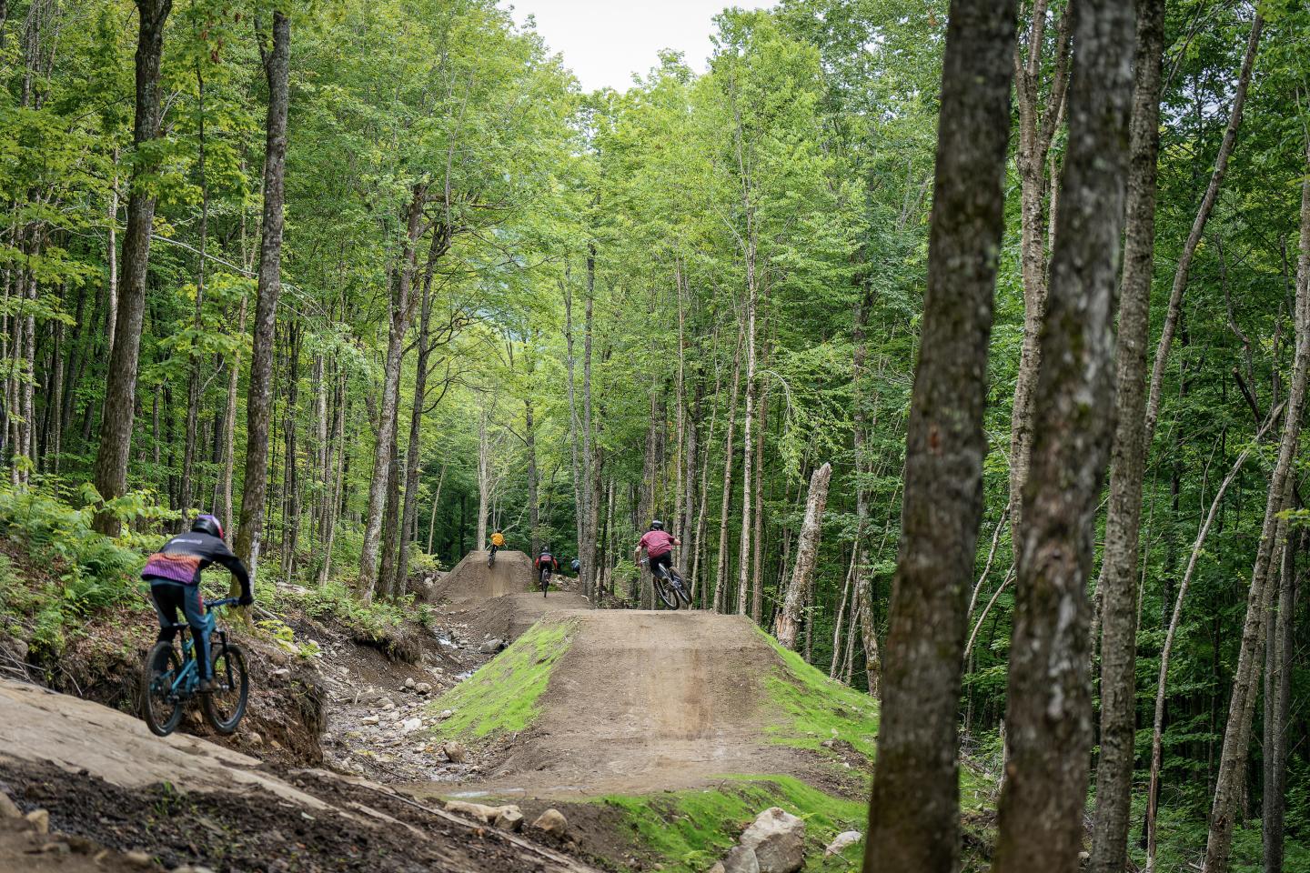 Vallée du Bras-du-Nord