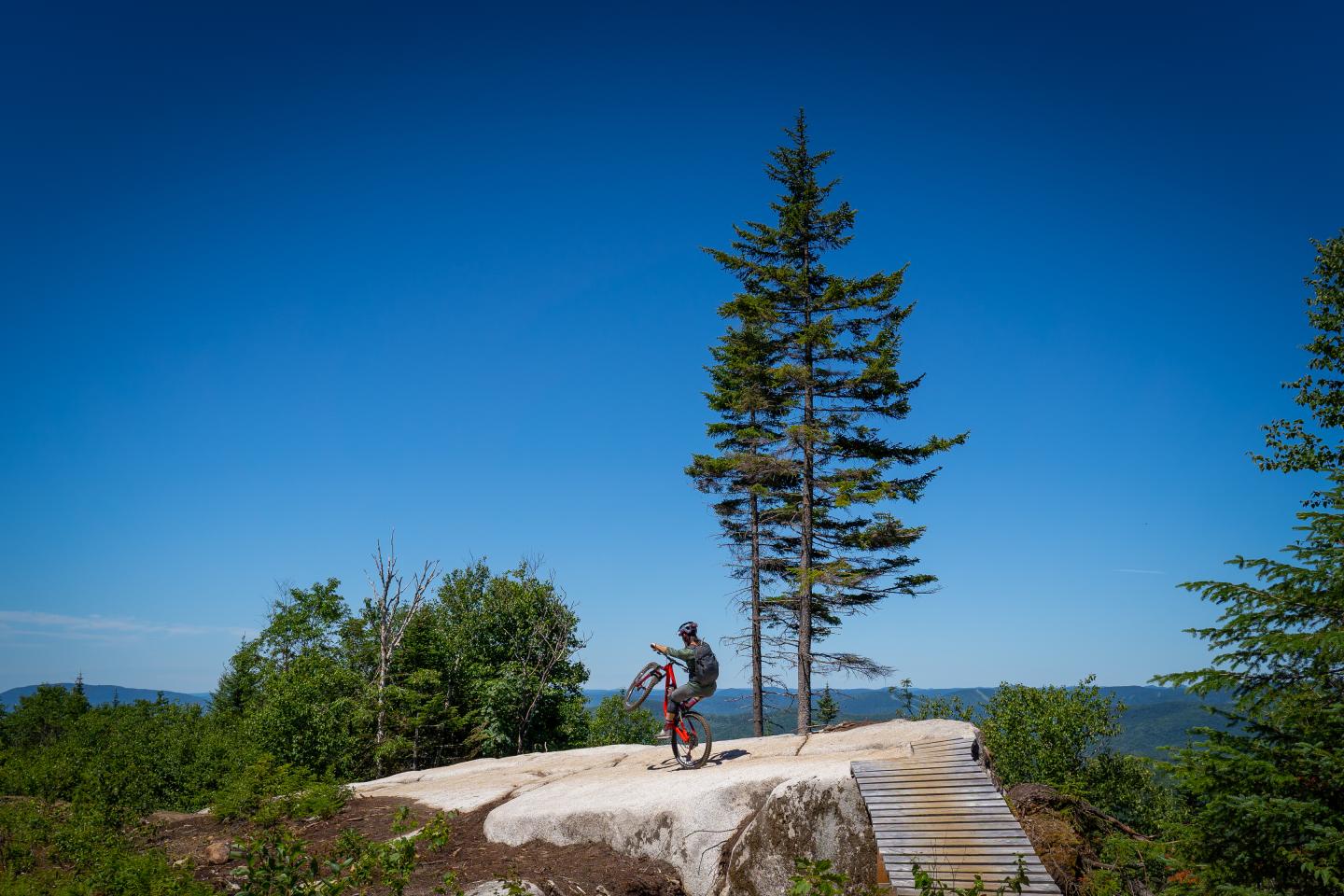 Vélo de montagne