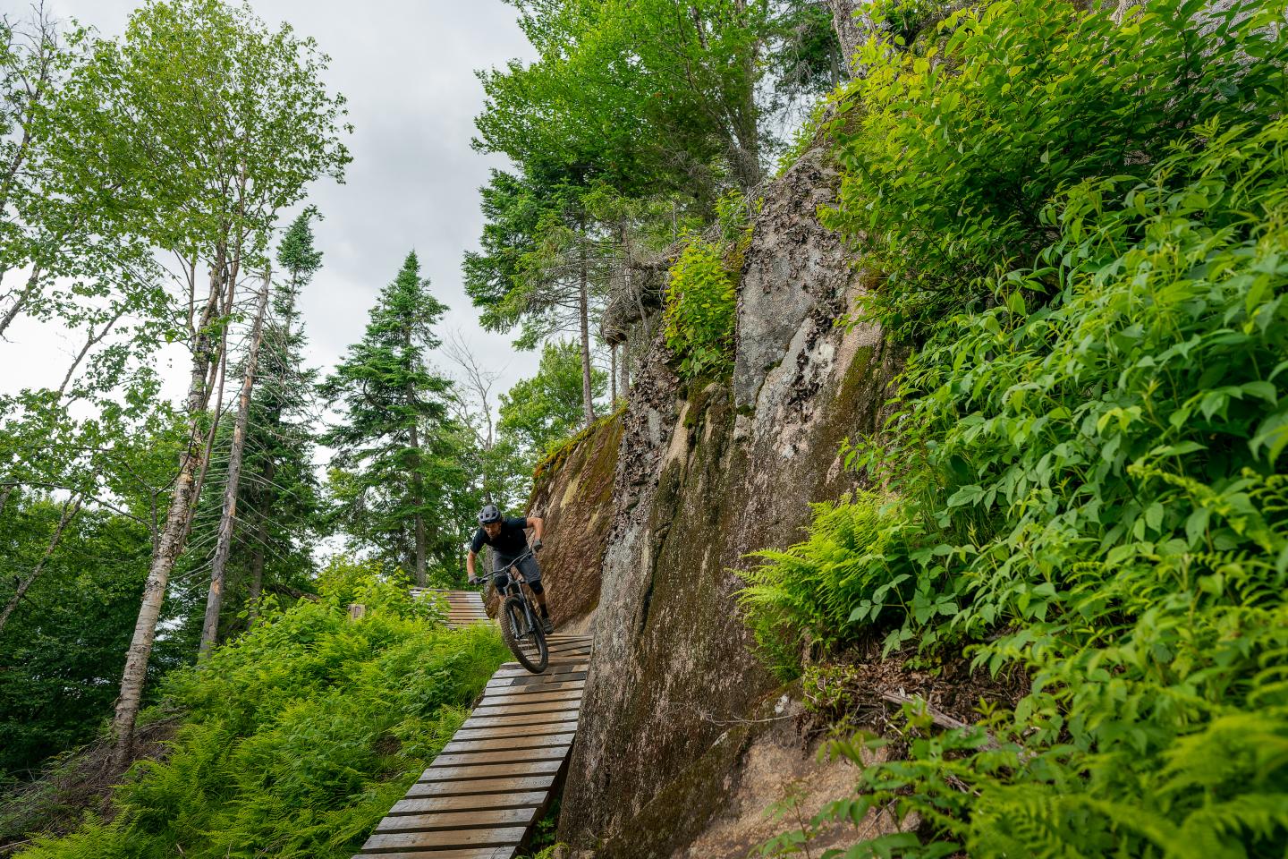 Descente de vélo