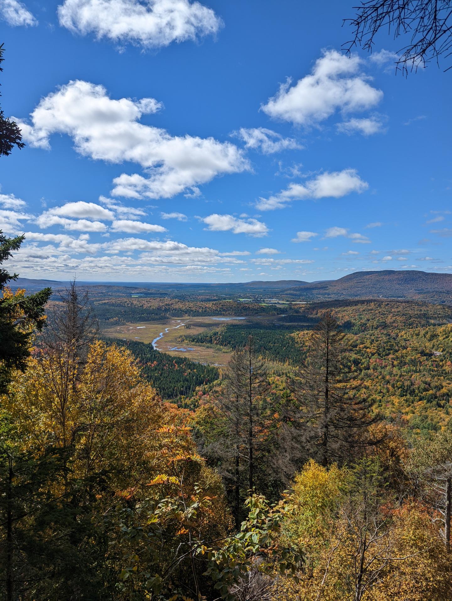 Randonnée pédestre