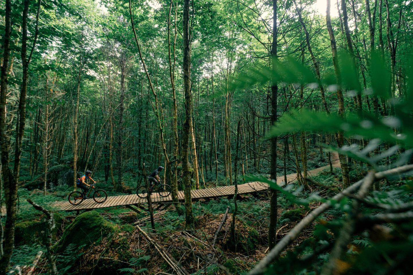 Vallée du Bras-du-Nord