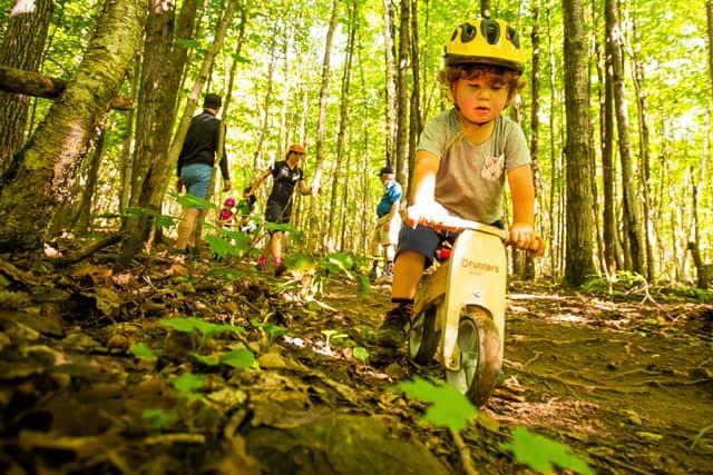 Halte des petits renards