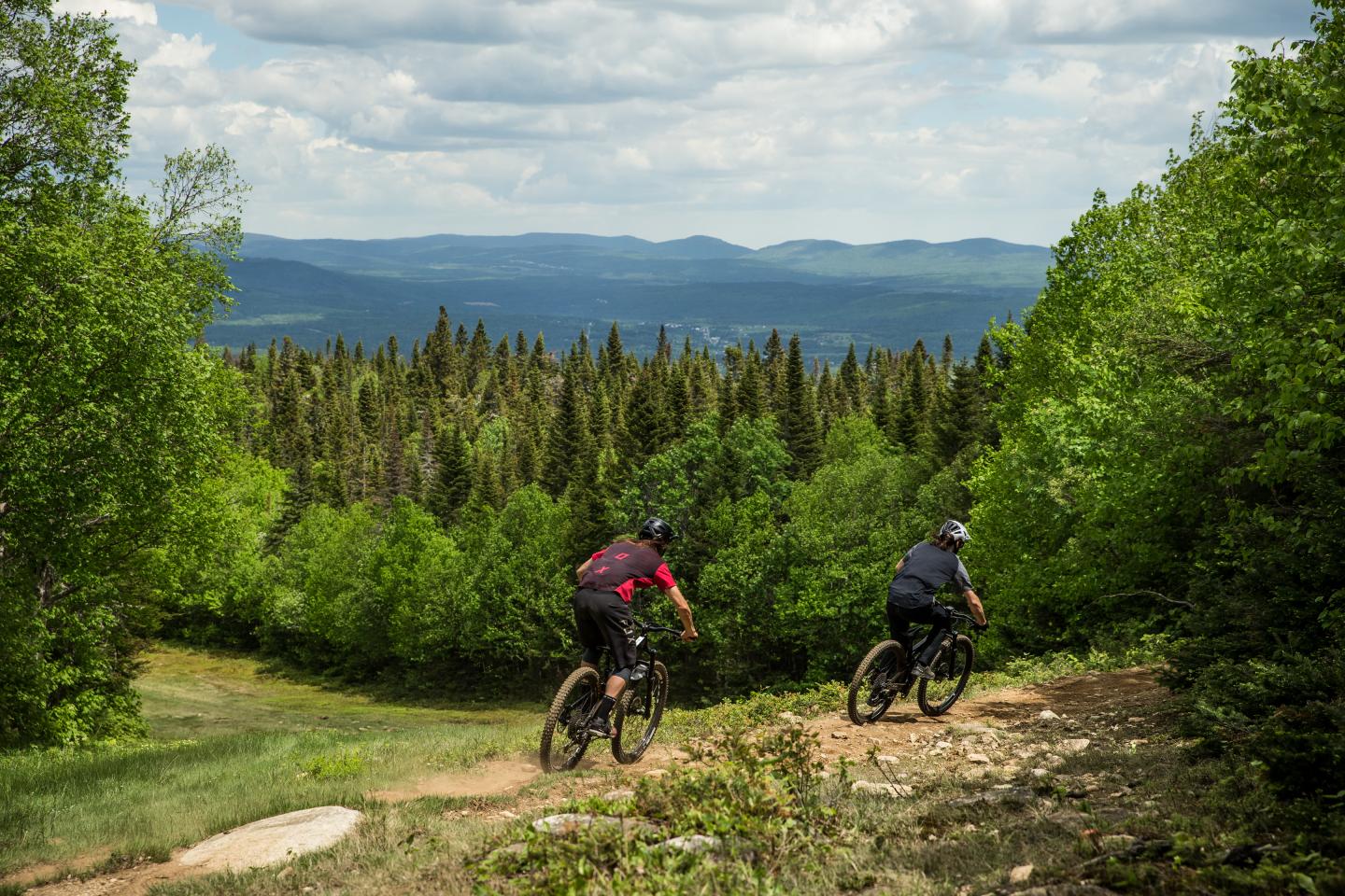 Vélo de montagne