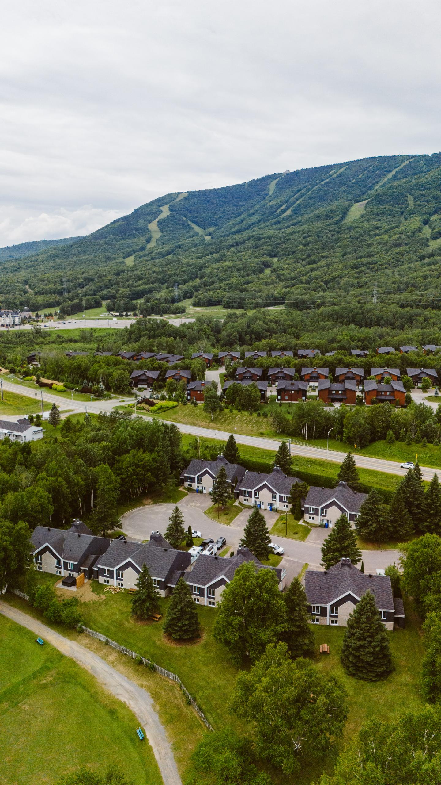 Chalets entourés d'arbres avec une montagne en arrière-plan.