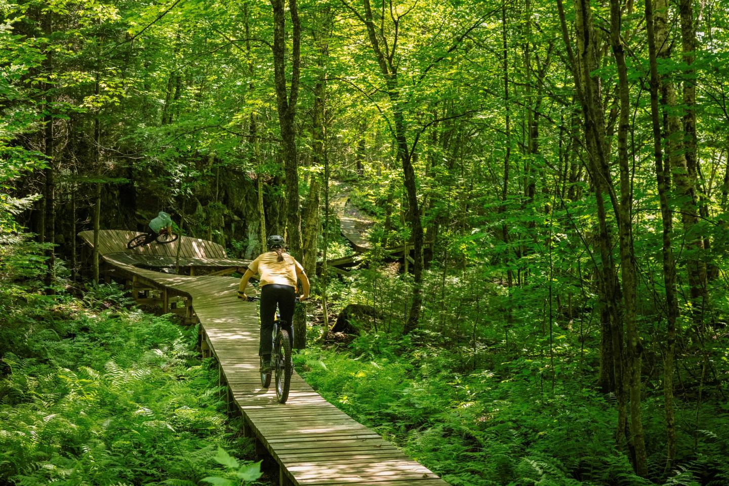 Cycliste sur une passerelle en bois à travers une forêt verdoyante.