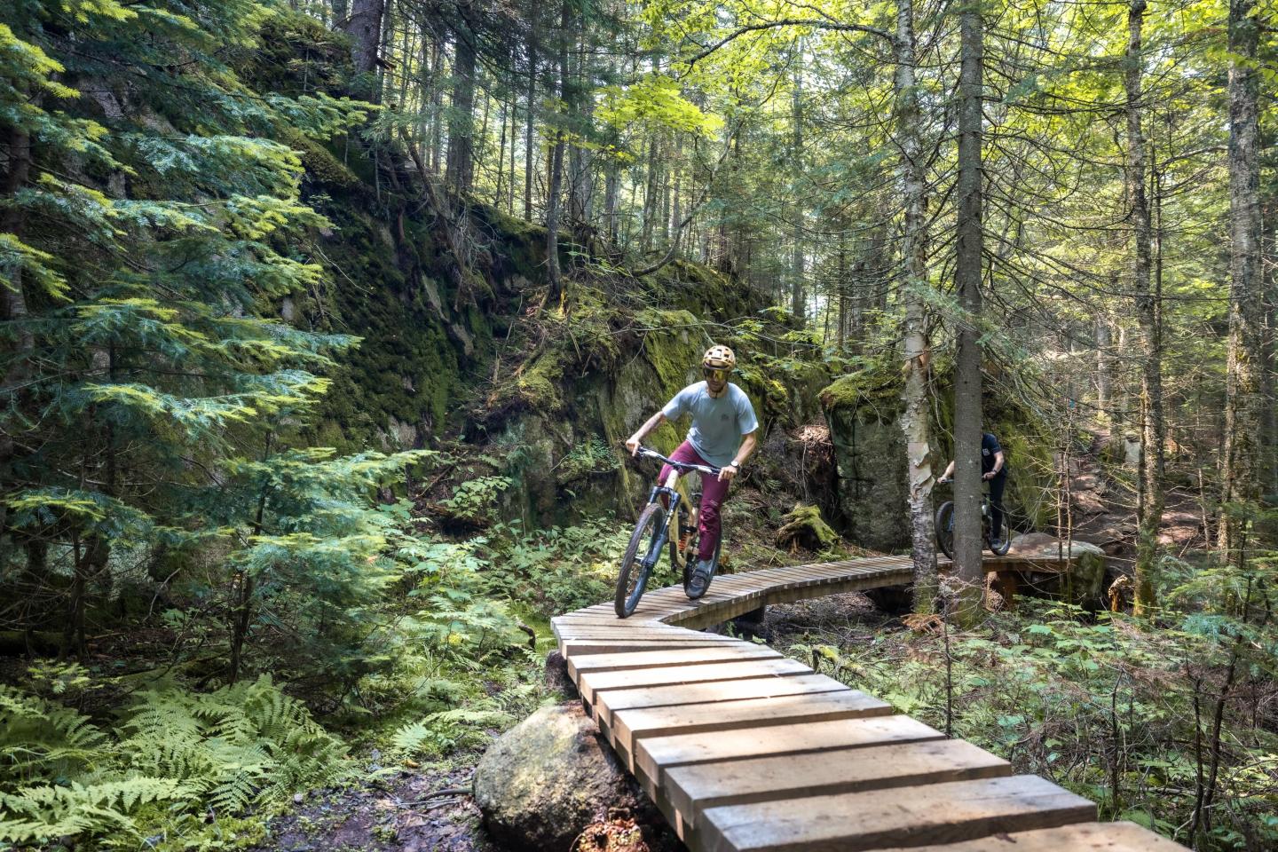Cycliste sur un pont en bois dans une forêt verdoyante.