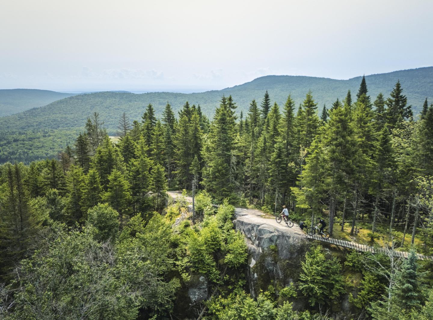 Forêt luxuriante sur fond de montagnes sous un ciel clair.