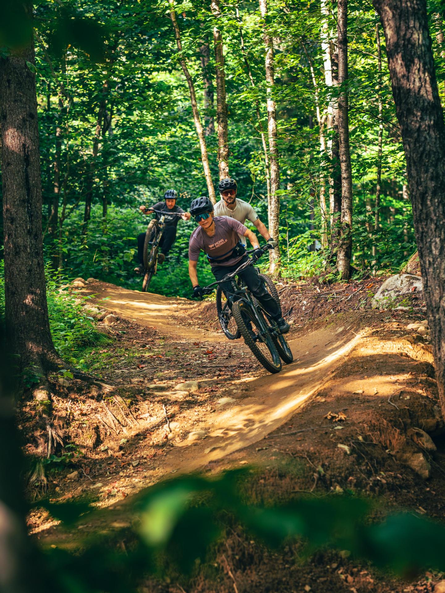 Cyclistes dévalant un sentier en forêt verdoyante.
