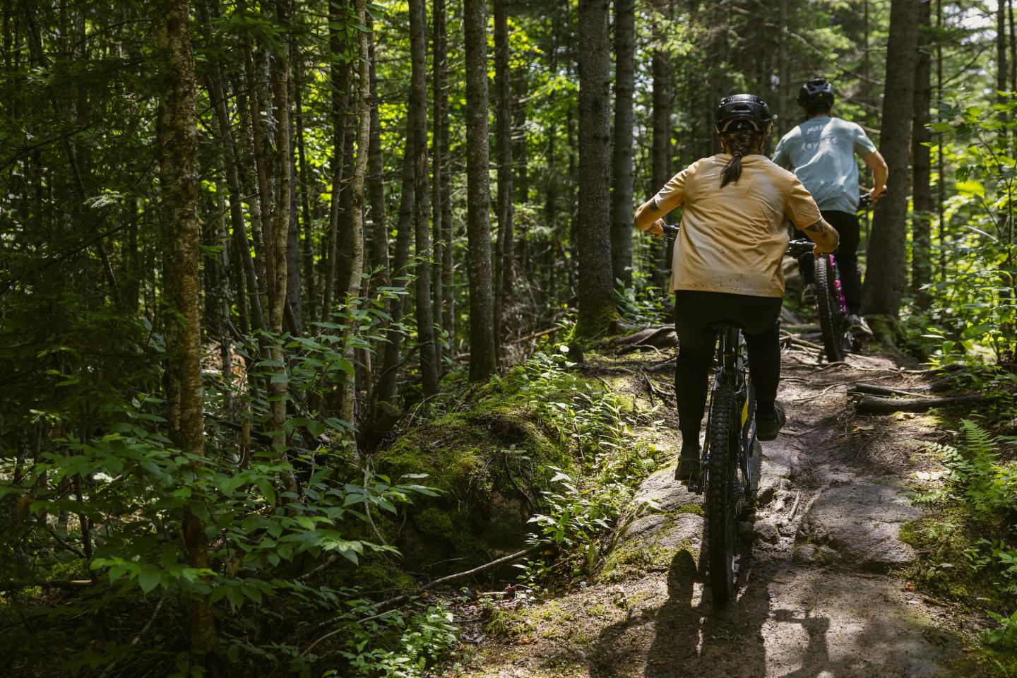 Deux cyclistes sur un chemin forestier ensoleillé.