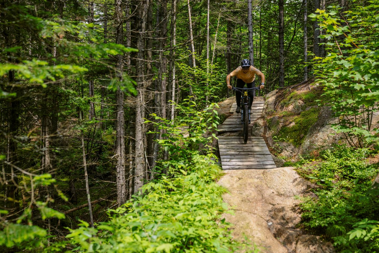 Cycliste sur un sentier en forêt, roulant sur une passerelle en bois.