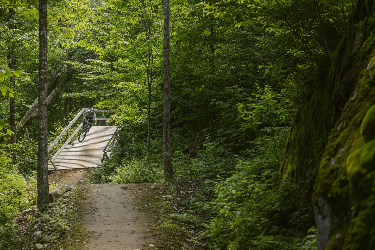 Pont en bois au milieu d'une forêt verte, sentier à l'avant-plan.