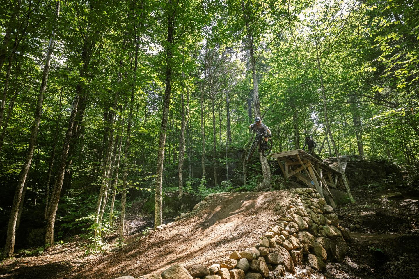 VTTistes sautant d'une rampe en forêt verdoyante.