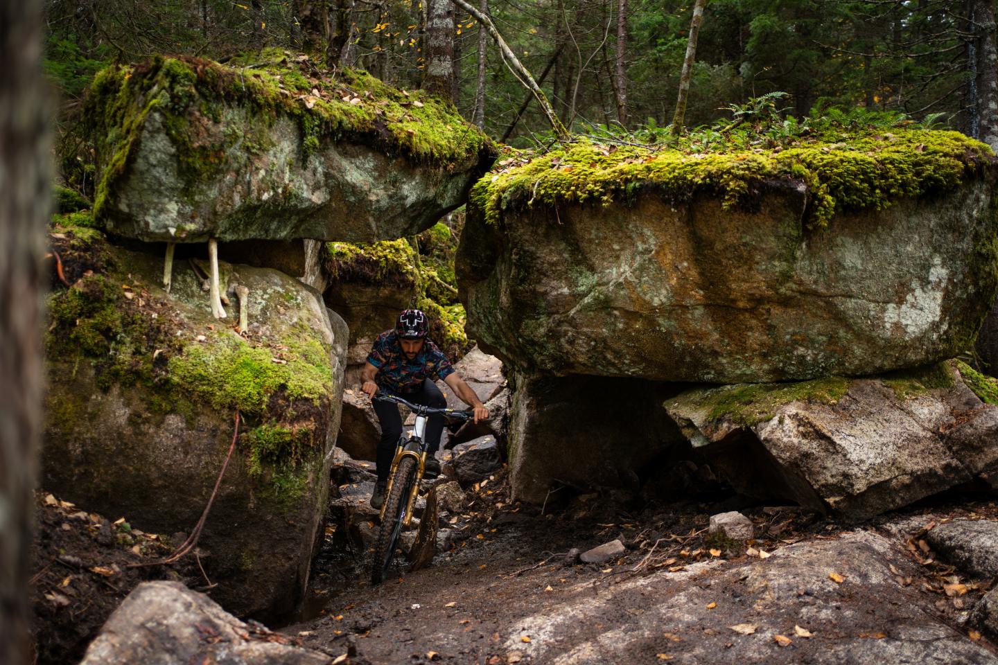 Cycliste VTT entre rochers couverts de mousse en forêt.