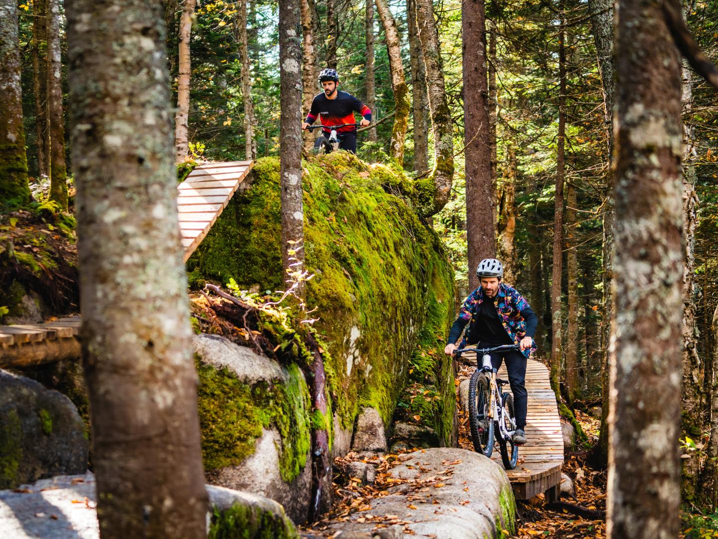 Cyclistes sur un sentier en forêt, planches de bois et mousse verte.