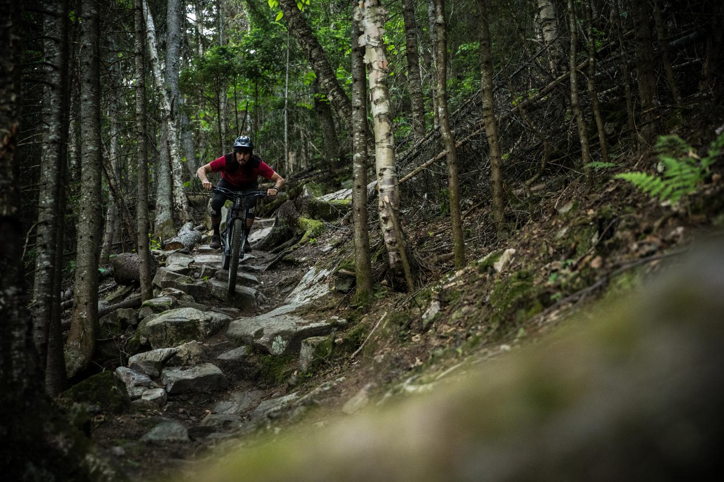 Cycliste en VTT sur un sentier rocheux en forêt.