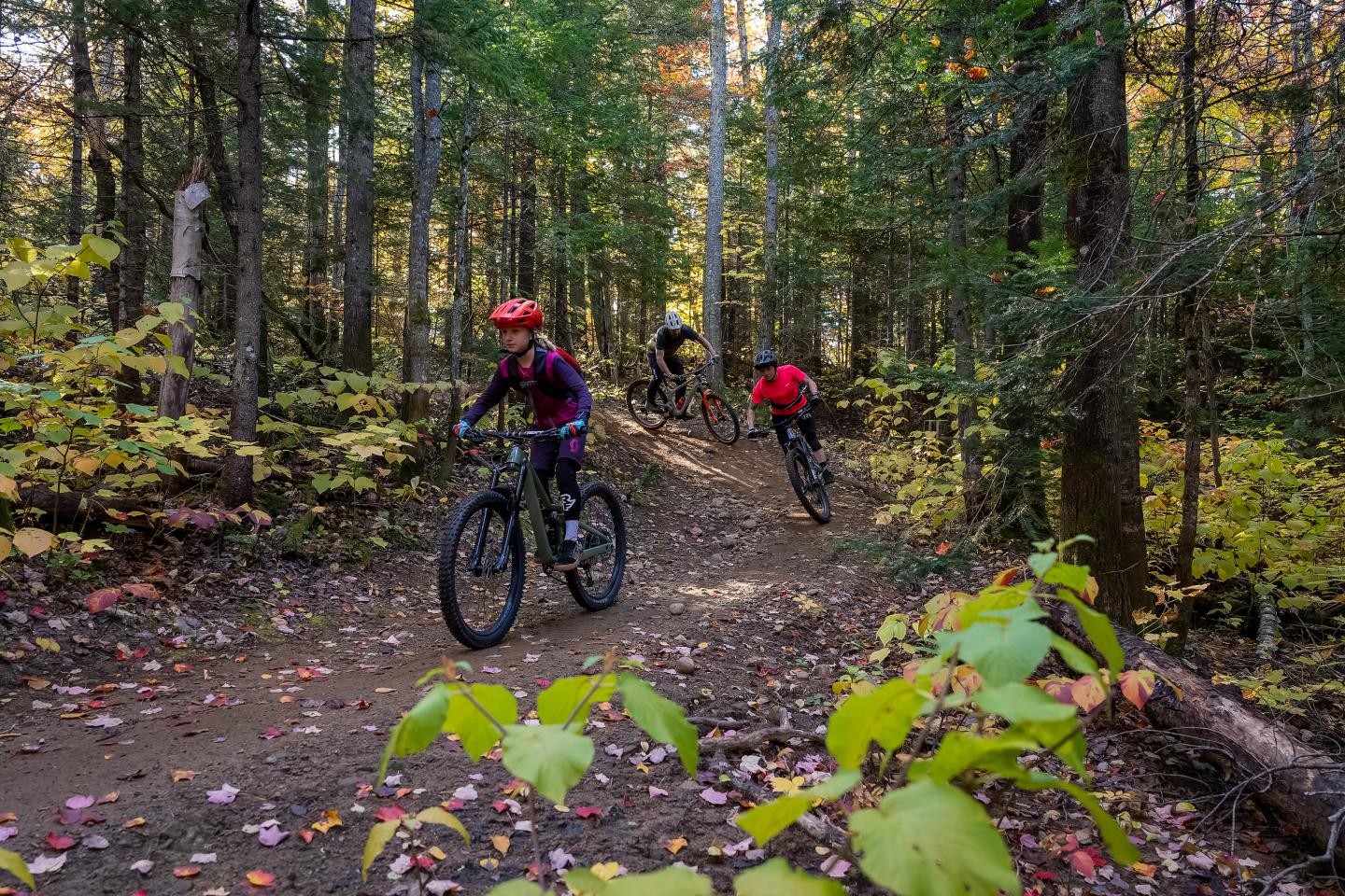 Personnes faisant du vélo en forêt en automne.