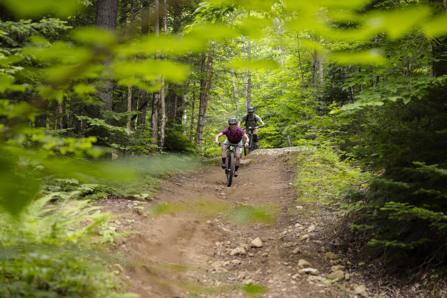 Cyclistes en forêt sur un sentier terreux, entourés de verdure.