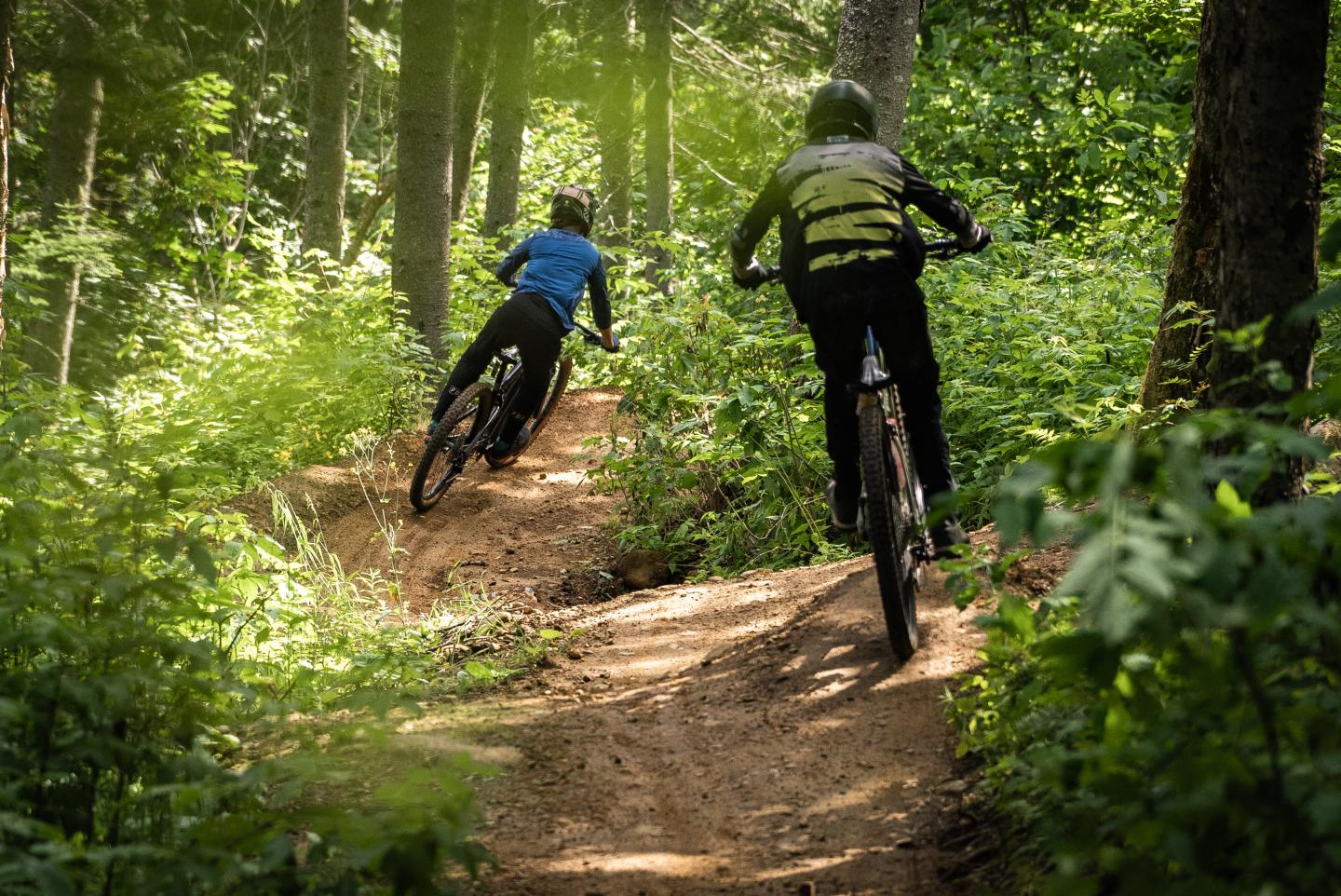 Deux cyclistes sur un sentier forestier, entourés de verdure.