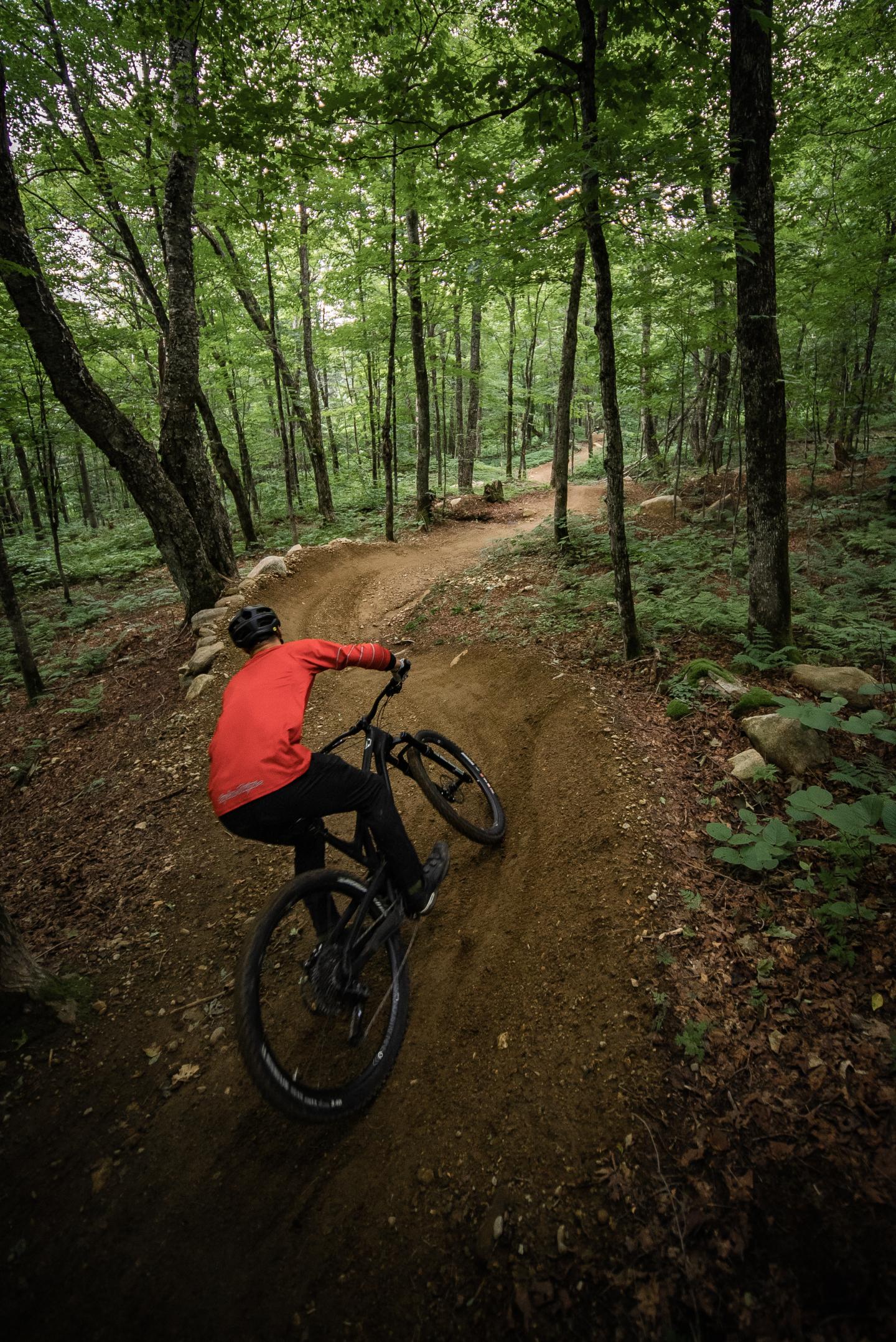 Cycliste en forêt sur un sentier sinueux, portant un maillot rouge.