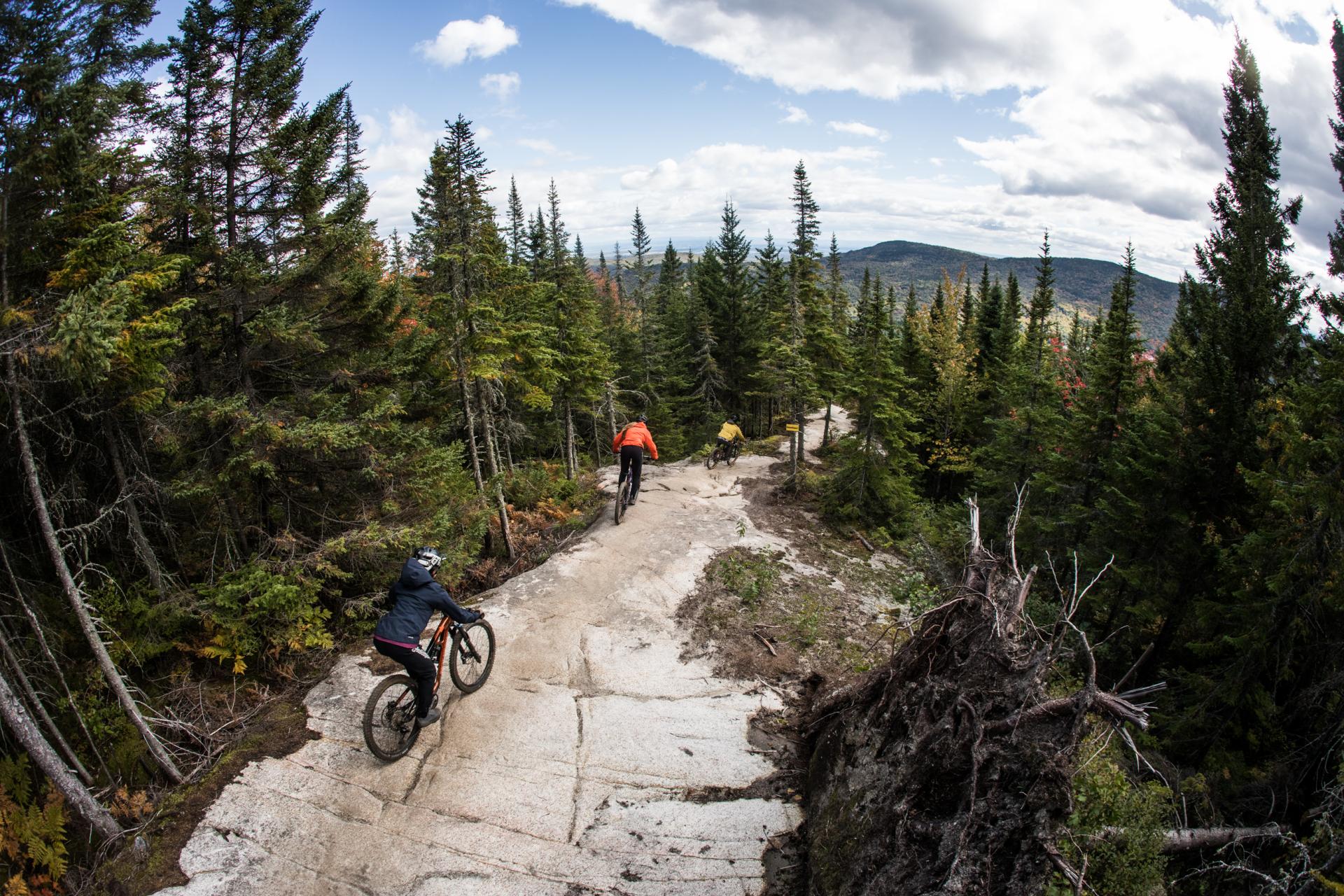 Sentiers du Moulin | Québec vélo de montagne